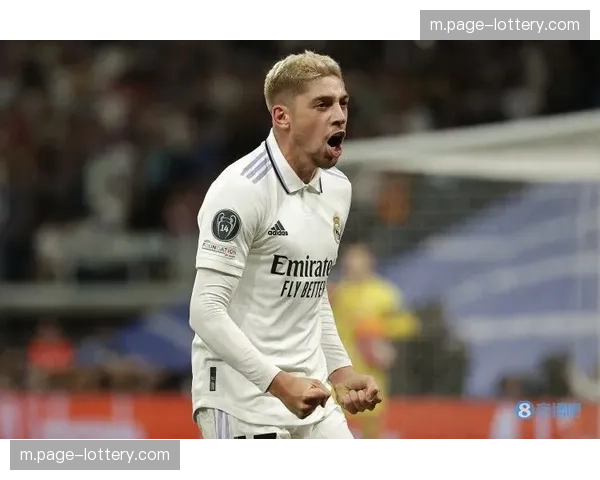 皇马楚阿梅尼卡马文加巴尔韦德中场，防守硬度支撑控场基础